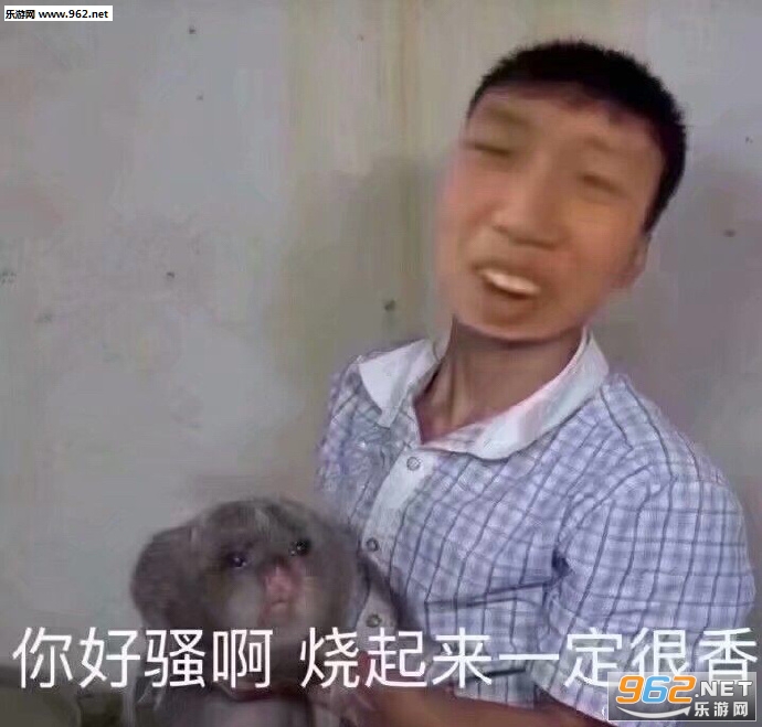 整改必须整改表情包 整改必须整改表情包