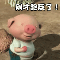 С���ܲ������gif