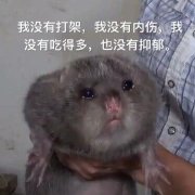 һҹ֪��ͼƬ