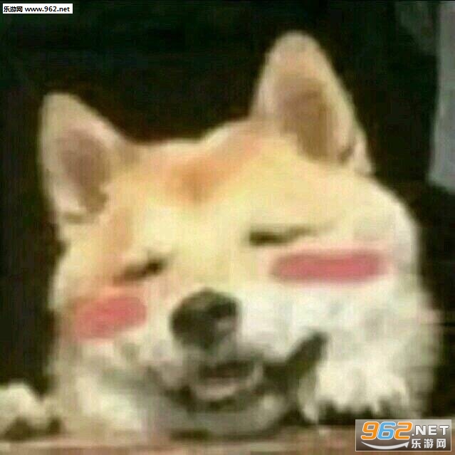 ˯�������ͷ����������Ϲ��ߺ������