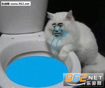 我不仅看到了我还要出去乱说可爱猫咪表情包