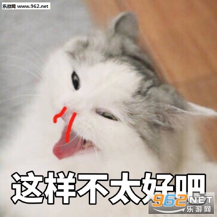我不仅看到了我还要出去乱说可爱猫咪表情包