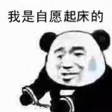 ������Ը�ϰ��𴲵ı����