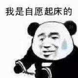 我是自愿的戴手铐表情包