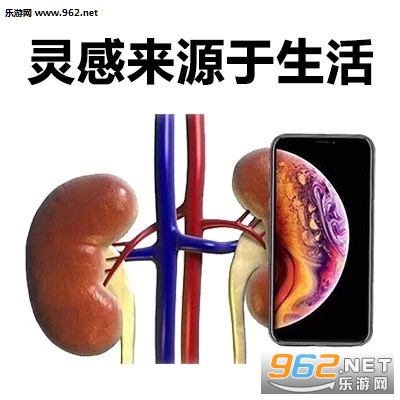 ��Ϊ���������̵���ʱ����������iphoneXS�����