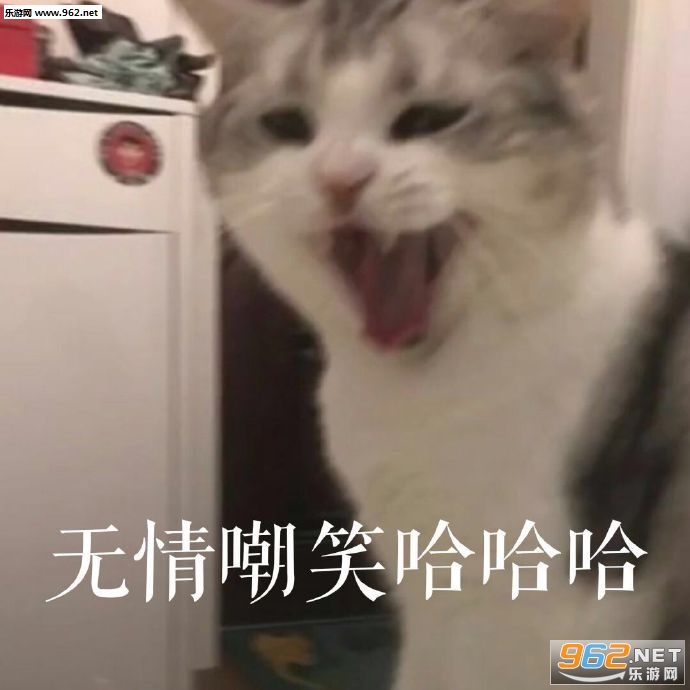 ���鳰Ц�����������