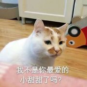 �߲���������ͼƬ