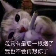 ����һ������������ͼƬ