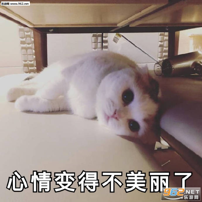 ��������డè������