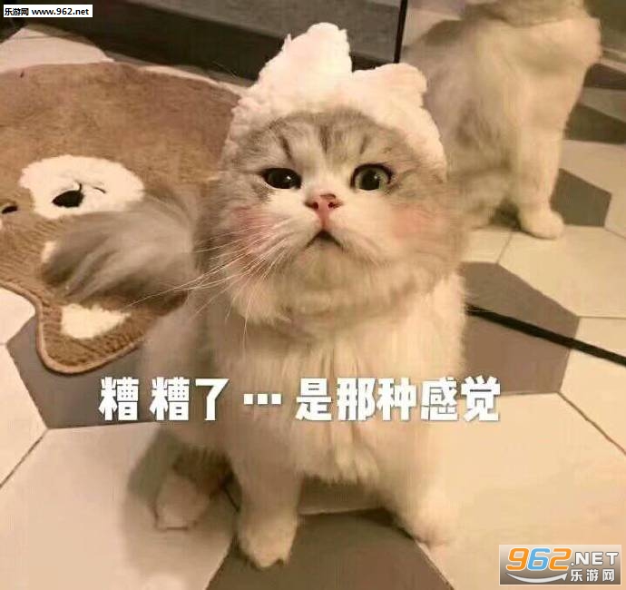 ��������డè������