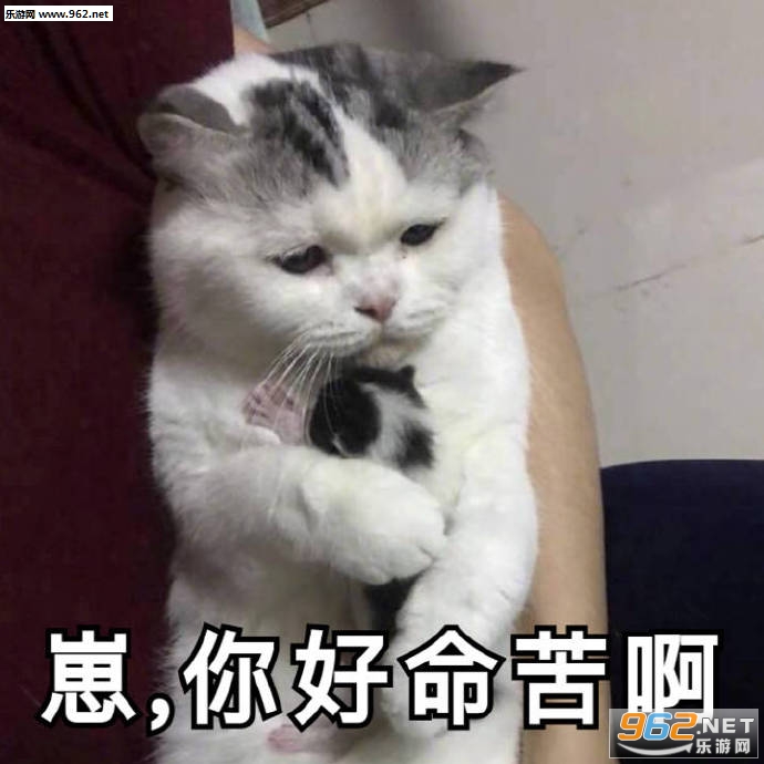 ��������డè������