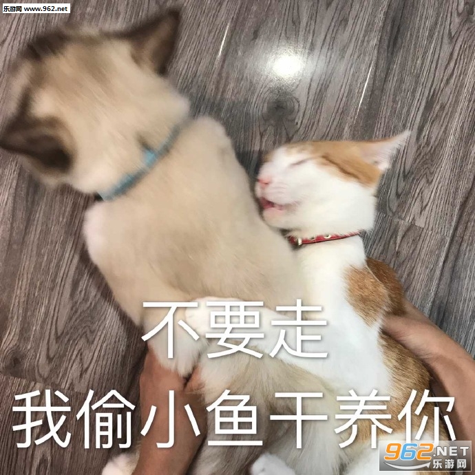 ��������డè������