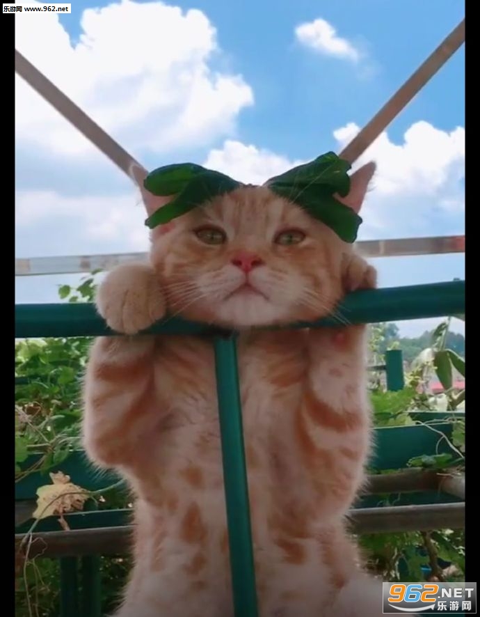��������డè������