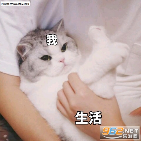 ��������డè������