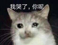 无法沟通表情包图片 无法沟通表情包图片