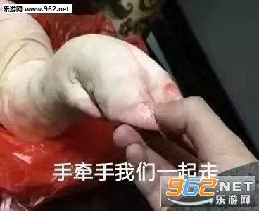 ���˶��Ǵ������ӱ����