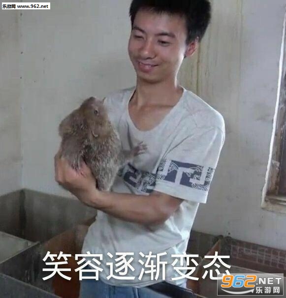 请问我可以成为你的网上邻居吗表情包