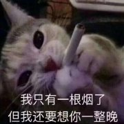 ����ô�ɰ������