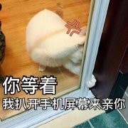 ����ô�ɰ������