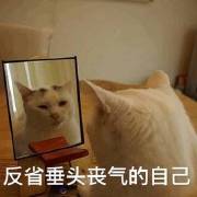 ����ô�ɰ������