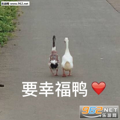 �������Ͳ��ɰ��˱����ͼƬ