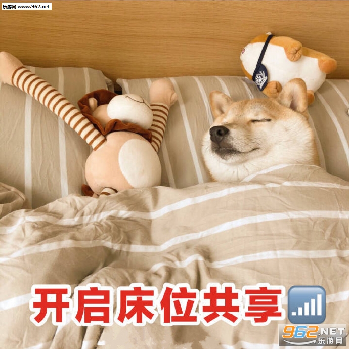Ц���𽥱�̬�����