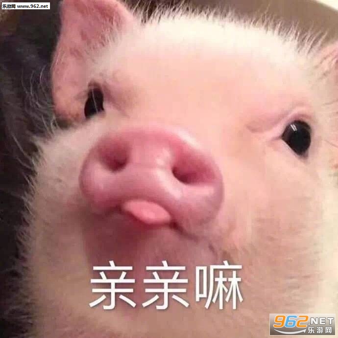 ����������������