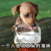�Ե�����һЦͼƬ