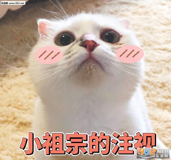 ���鷳�˱����ͼƬ