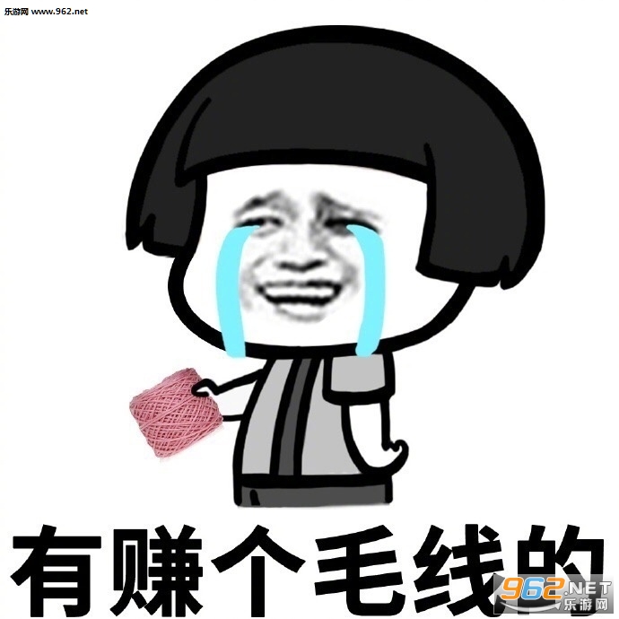 今年你赚了多少钱表情包