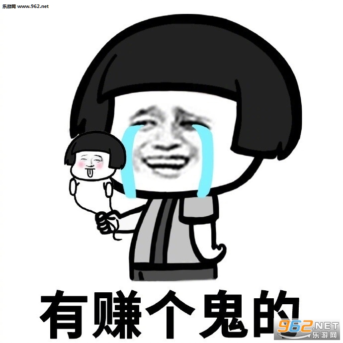 今年你赚了多少钱表情包