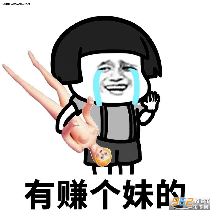 今年你赚了多少钱表情包