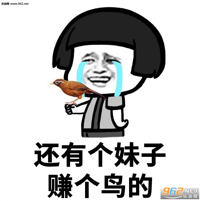 今年你赚了多少钱表情包