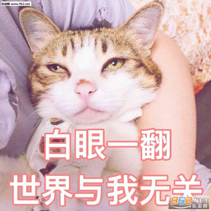 糟了我好像要恋爱了表情包图片 糟了我好像要恋爱了表情包图片