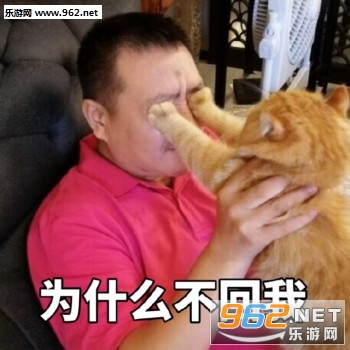 һλȺ��ͻȻʧȥ����è������