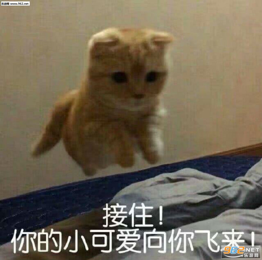 һλȺ��ͻȻʧȥ����è������