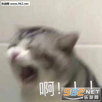 һλȺ��ͻȻʧȥ����è������