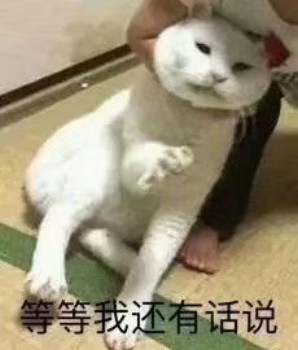 һλȺ��ͻȻʧȥ����è������