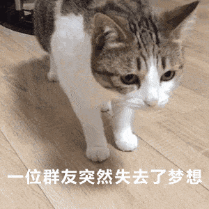 һλȺ��ͻȻʧȥ����è������