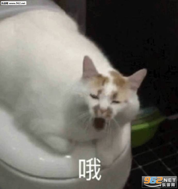 ǰ������ڵ�·�ϱ����