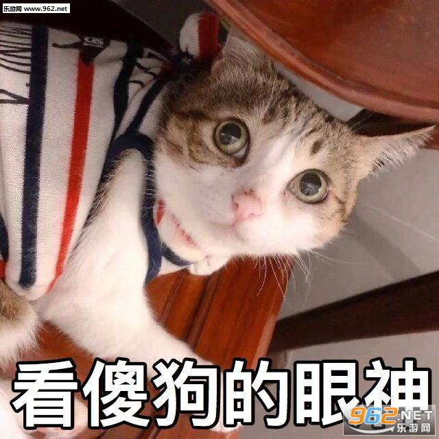 �������������������˱����