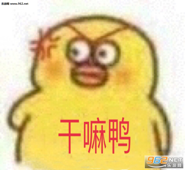 �ҵ���ѼС��Ѽ�ߺ������