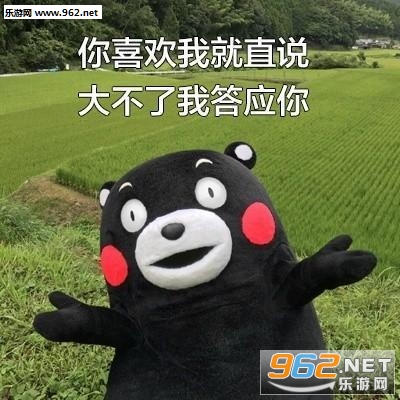 ������·�黰�����