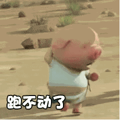 С���ܲ�gif��ͼ