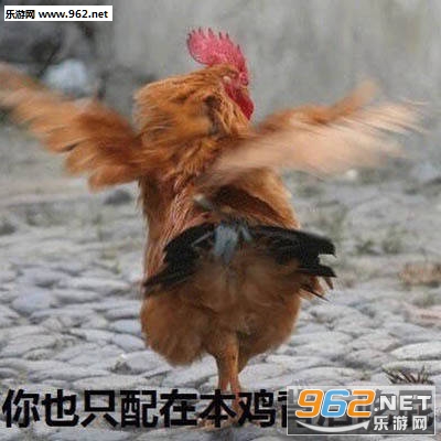 ȱ�ٹ������������ͼƬ��ͼ4