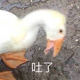 ������ʵ�˶�������Ц�Ĺ������������ͼ2