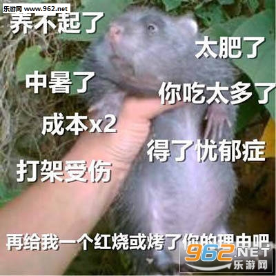 Ī�����ӵ�Ƥ����������ͼ1