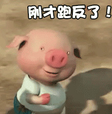 С���ܲ������gif��ͼ1