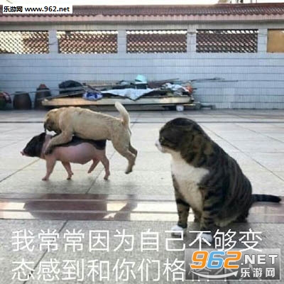 ��������������ͼ0