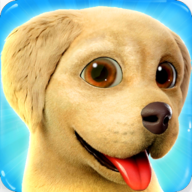 DogTown(Dog Town��׿��)